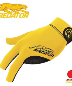 Alternative view of Bao Tay Predator