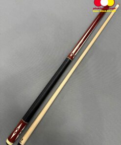 Cơ pool Predator Aspire 1-10