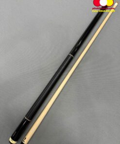 Cơ pool Predator Aspire 1-1